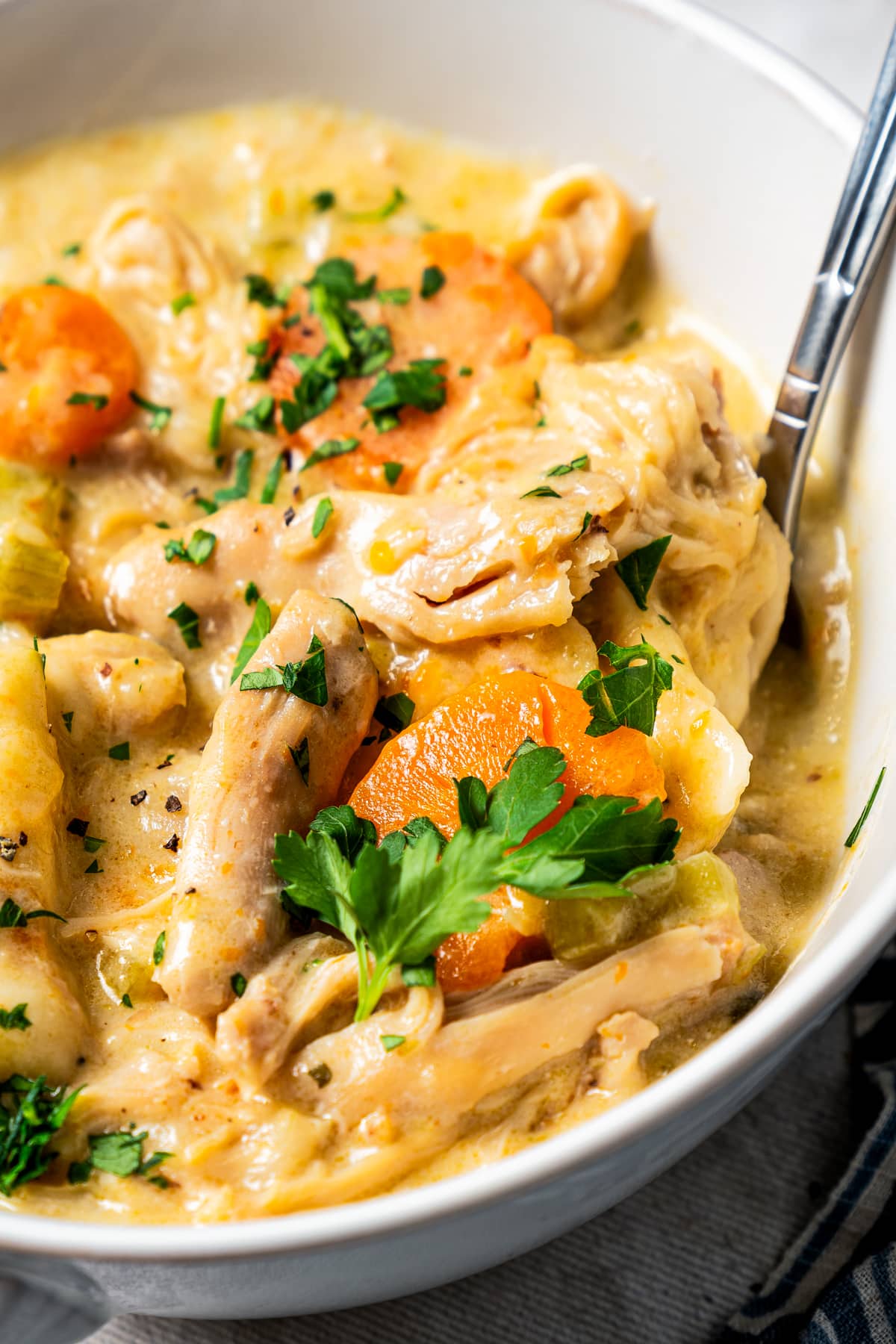 Close-up image of a spoon holding up chicken with dumplings.