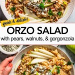 Orzo salad Pinterest image.