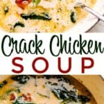 crack chicken soup pin image