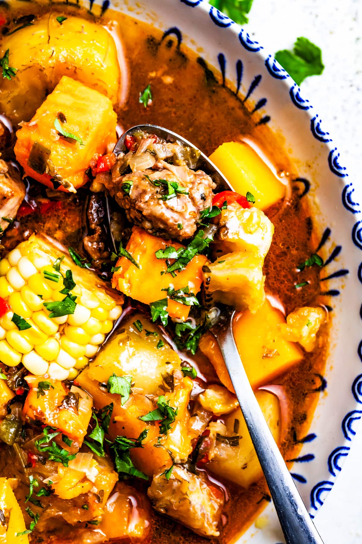 Sancocho Dominicano in a bowl with a spoon.