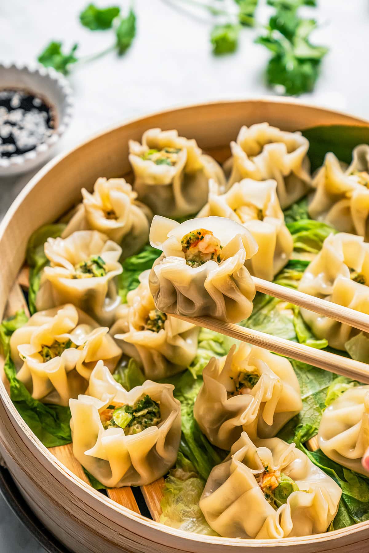 Chopsticks holding up shrimp shumai.