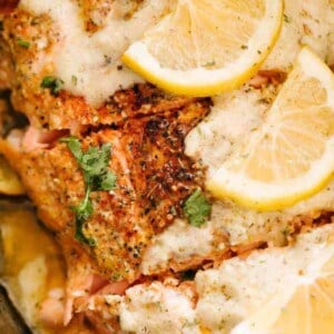 Crock Pot Salmon