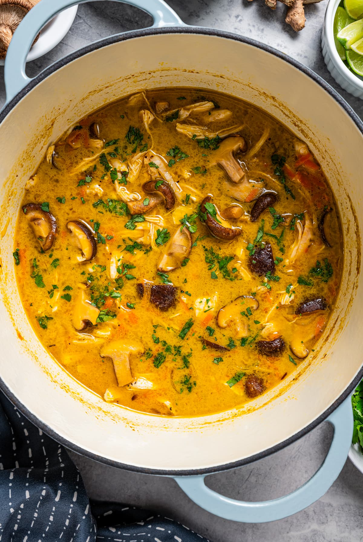 Thai chicken soup in a Dutch oven.