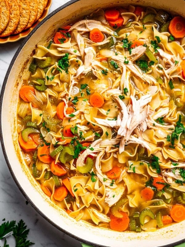 Overhead image of a pot full of turkey noodle soup.